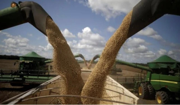 Só o agronegócio não sustenta a economia brasileira; entenda os motivos